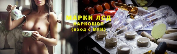 СК Надым