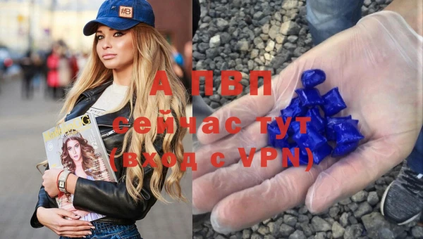 СК Надым