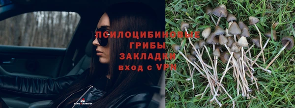СК Надым