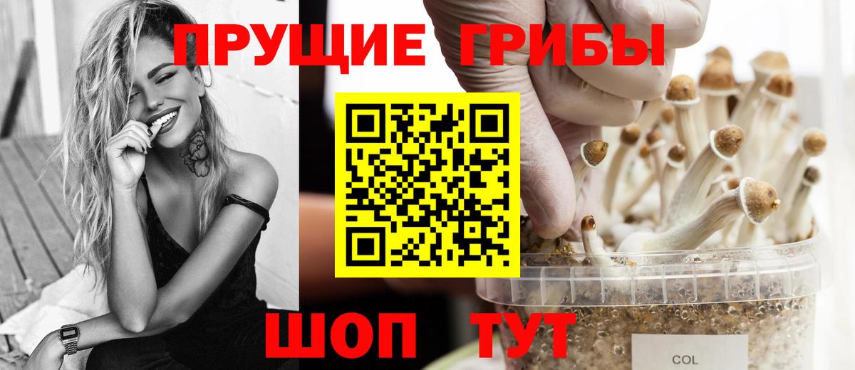 Галлюциногенные грибы MAGIC MUSHROOMS  Псилоцибиновые грибы ЛСД  Сызрань  Вход с VPN 